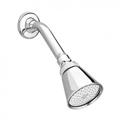 Regadera Chorro Fijo con Brazo y Chapeton Optima H-200 Helvex