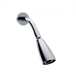 Regadera con Chorro Vigorizante Iguazú con Brazo y Chapetón Helvex H-202