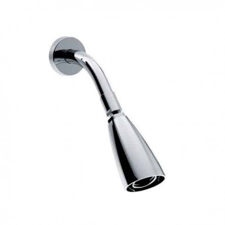 Regadera con Chorro Vigorizante Iguazú con Brazo y Chapetón Helvex H-202